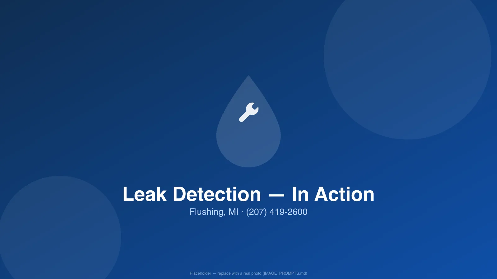 Licensed plumber handling leak detection in a Flushing, MI home
